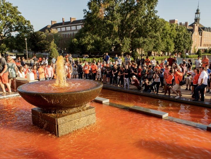 This is alt text for the image