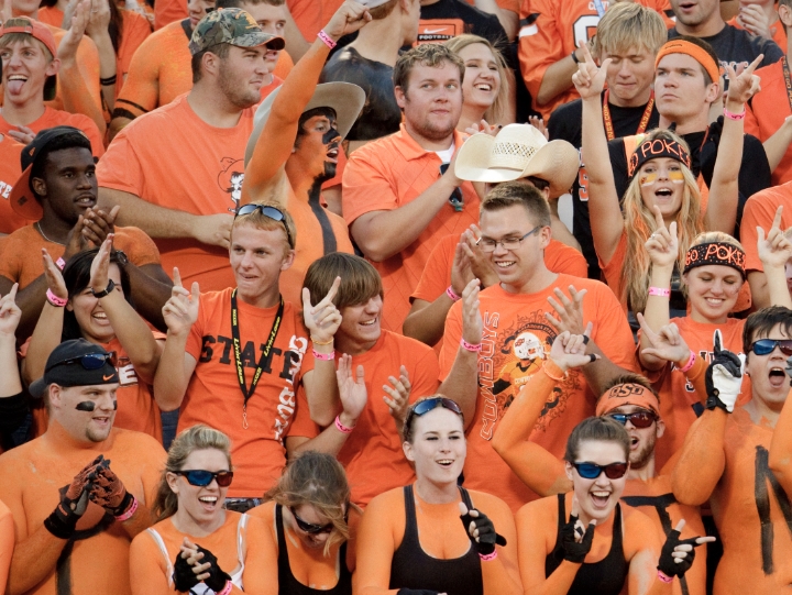 This is alt text for the image